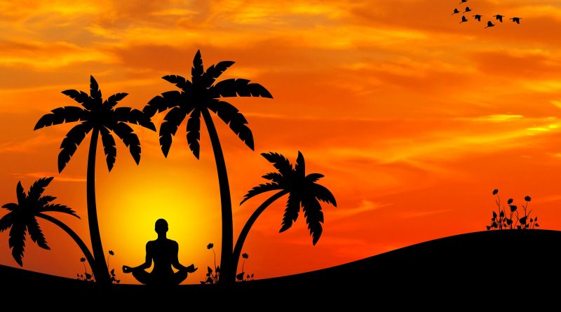 Palmen mit Buddha Silhouette 