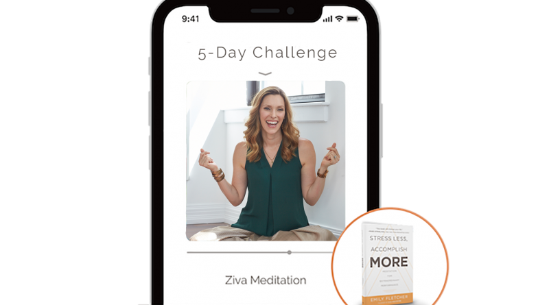 ZIVA Meditation Banner
